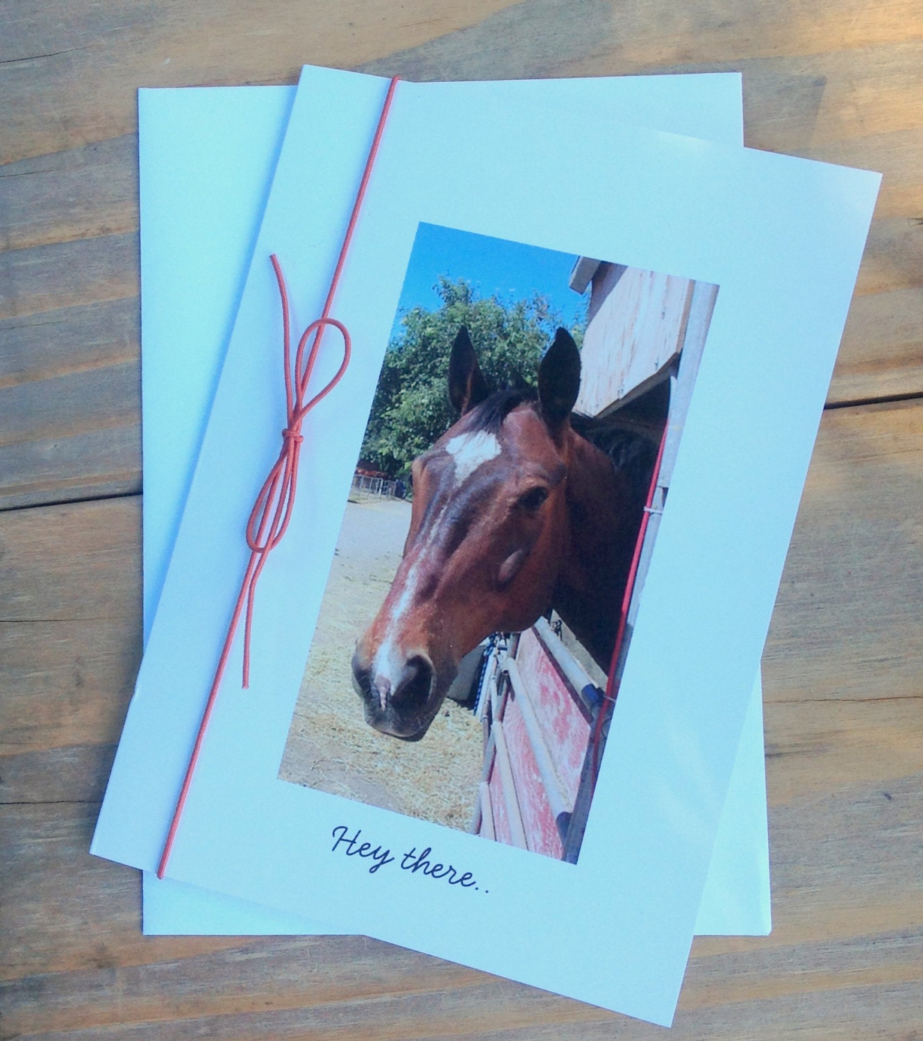 Two Horse Greeting CardsPhoto NotecardHorse