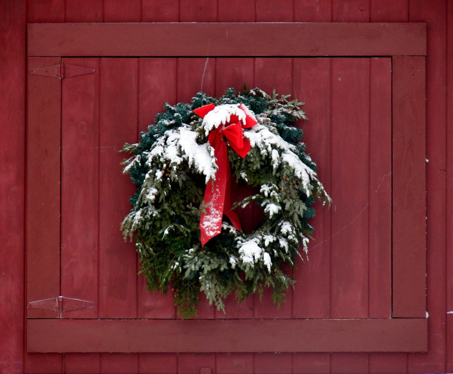 30" BARN WREATHS - Local Pick-up! Christmas Wreath Fundraiser To Benefit The Bunnies At Cottontail Cottage Rabbit Shelter