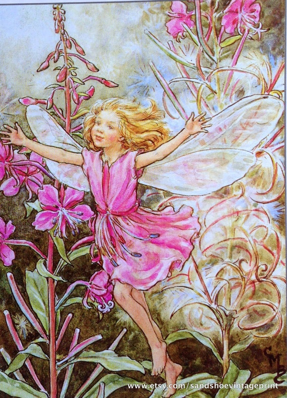 1980s The ROSE-Bay Willow-Herb FAIRY and The Red CLOVER Fairy