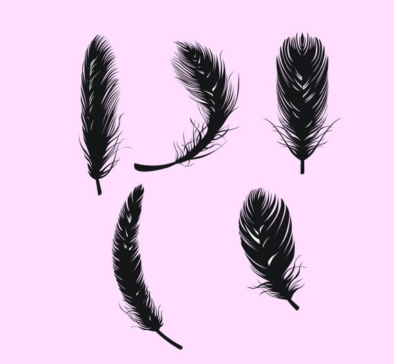Download Items similar to Feather silhouette digital clipart vector ...