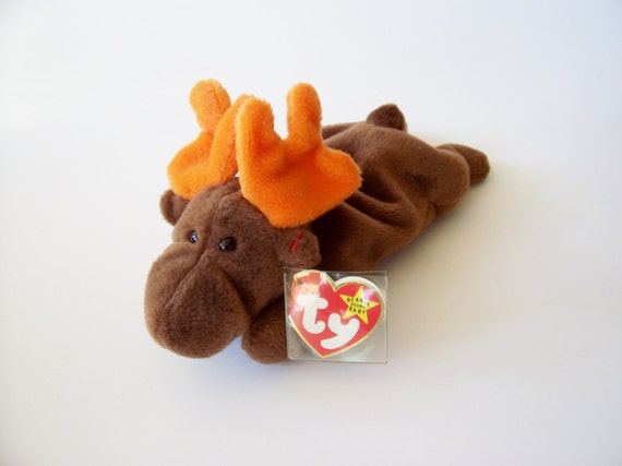 ty chocolate the moose