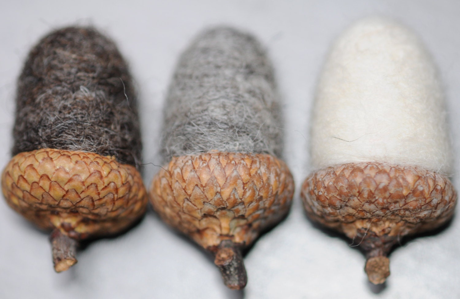 Felted Acorn