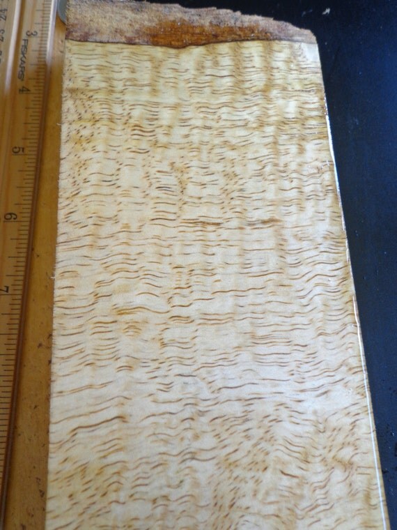 Hawaiian Curly Mango Wood Blank by Fashells on Etsy