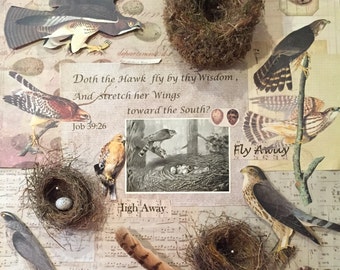 shadowbox assemblage using nests,feathers,verses made to order