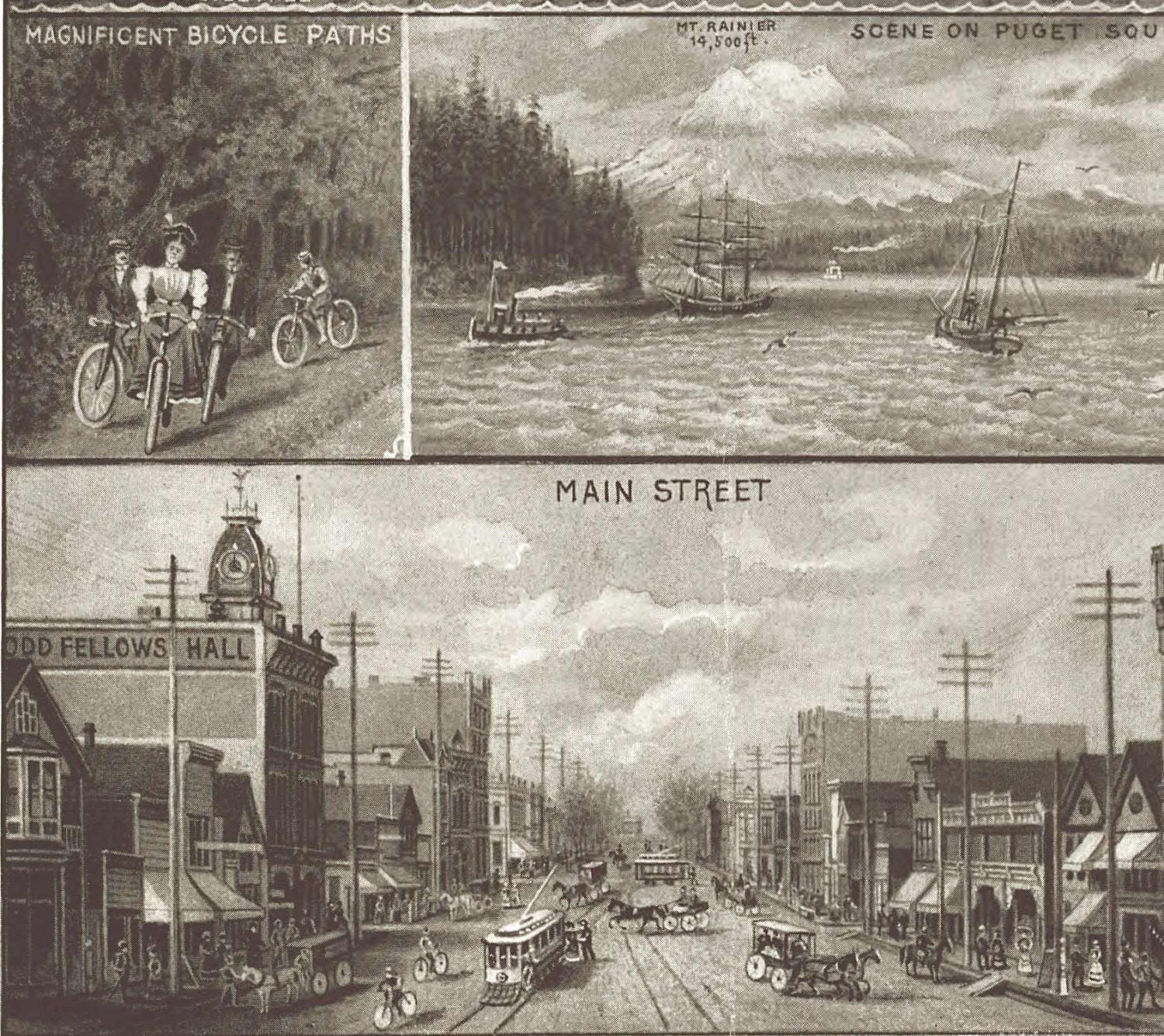 Olympia Washington 1903 Edward Lange Birds Eye View by Oldmap