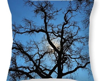 California Oak Tree Decor Pillow, Sunny tree pillow, CA Oak Tree Room Accent pillow - Photography Throw Pillow, Washable pillow, 14 x 14