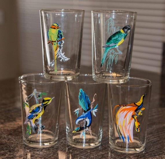 SALE 1950's vintage bird drinking glasses Latin by