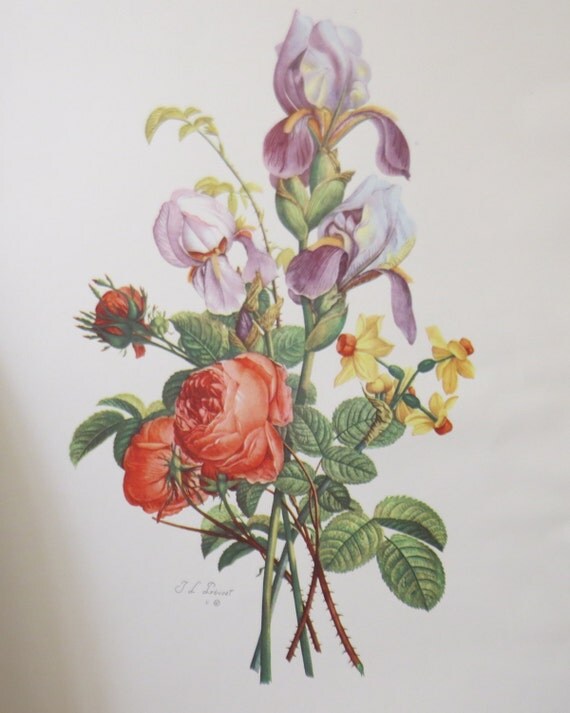 Set of 4 Antique Jean-Louis Prevost Bouquet Etching-Tone Prints 1945 French flower prints