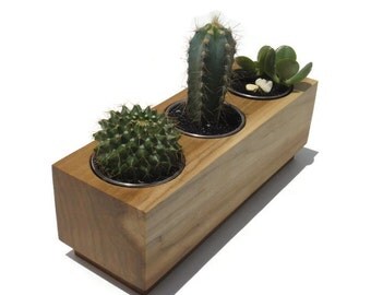 Succulent planter - Poplar Handmade Planter with a natural finish, for birtday and wedding, wood planter.