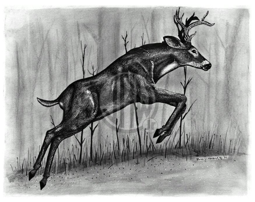 deer jumping line drawing