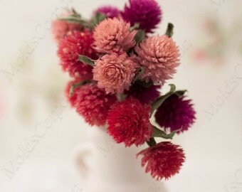 Dried Flowers Gomfrena To Create Jewelry Made for Epoxy Resin, dry flowers, 3 colors - Purple, Pink and Red СХ004/3