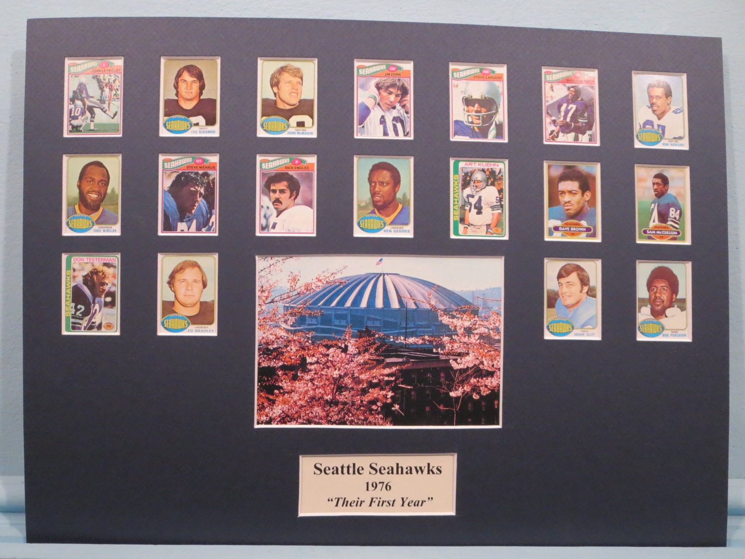 The Seattle Seahawks 1976 Their First Year in the NFL led
