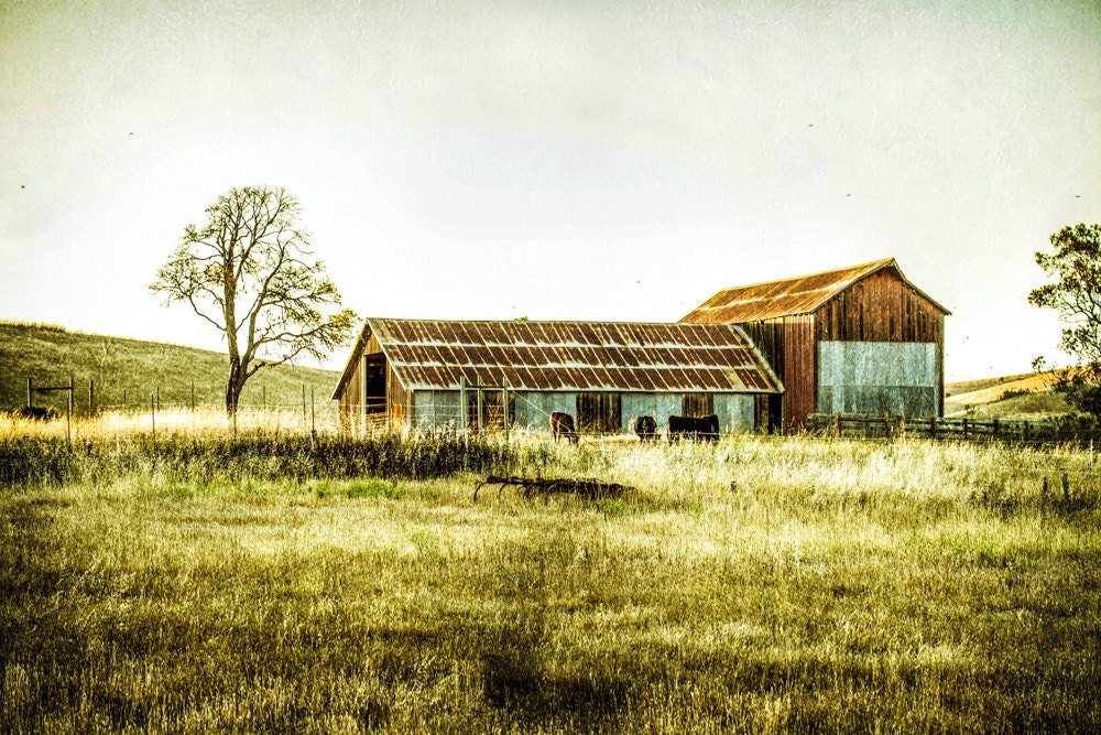 Barn Photography Country Barn Cambria California by ArleneCarley