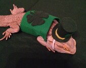 Bearded dragon clothes by Monstertrims on Etsy