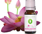 Lotus oil -Pink Lotus absolute -100% essential oil Lotus -Nelumbo nucifera -Sacred Louts Oil-Spiritual oils-Healing oil, Aromatherapy-Chakra