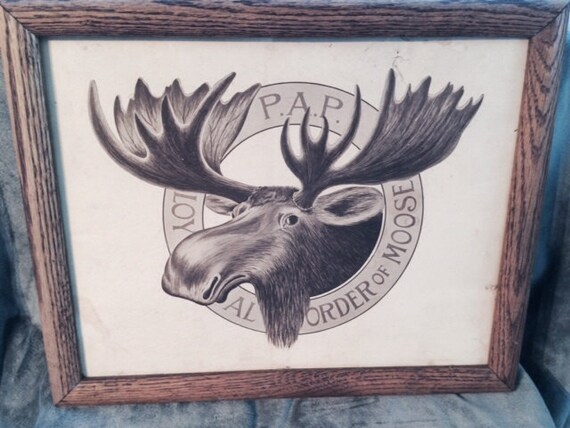 the royal order of the moose