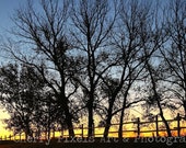 FREE SHIPPING Landscape Fall Sunrise Photograph Series - 5x7 or 8x10 Fine Art Print, Framed Options, 11x14 Canvas Transfers