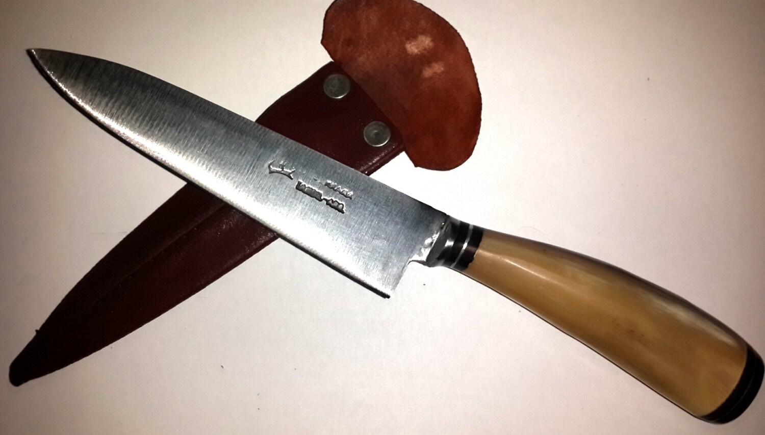 Craft Argentine Gaucho Steak Knife Zebu Horn Handle Carbon