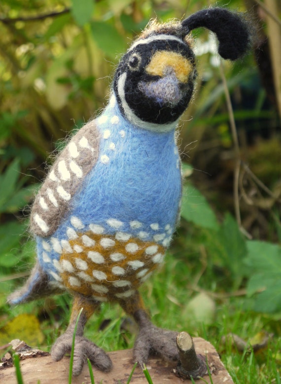 Needle felted quail. Needle felted animal felted bird by Artywool