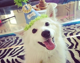Boy Dog Party Hat- Personalized