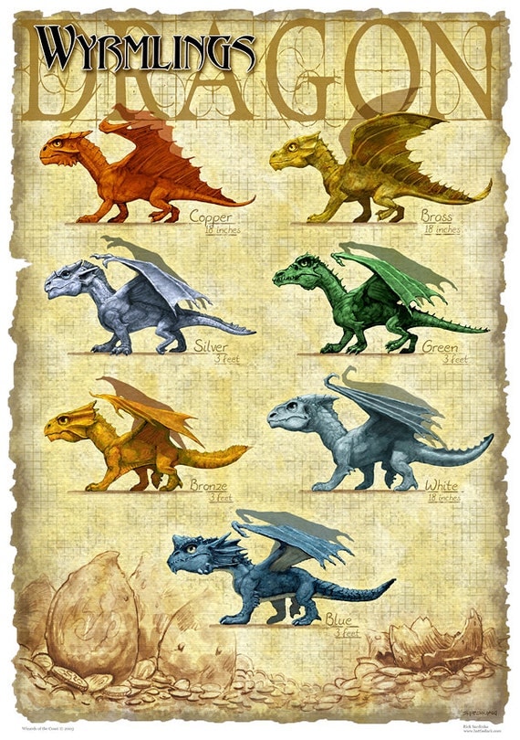 Items similar to Wyrmlings Dragon Print - Draconomicon Chromatic ...