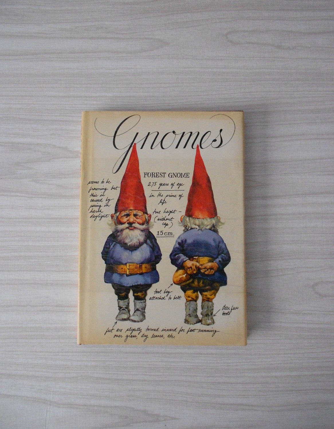 1977 Illustrated GNOMES book published by Harry N. Abrams Fantasy Spirits 1977 Illustrated GNOMES book published by Harry N. Abrams Fantasy Spirits