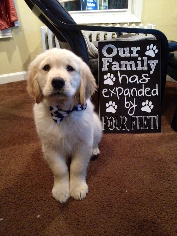 New Puppy Announcement Our Family Has by CustomChalkPosters