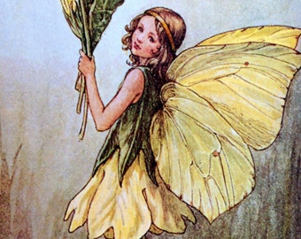 1930s CHICORY FAIRY Cicely Mary Barker PRINT Ideal for Framing