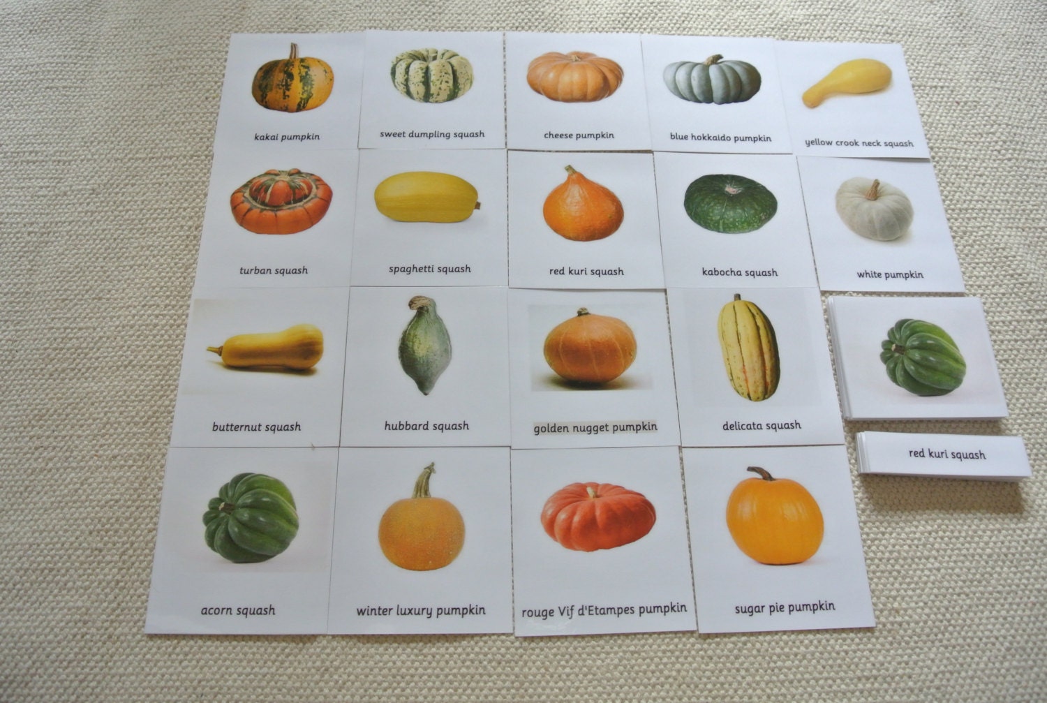 Montessori Common Pumpkins 3 Parts Cards PDF Download