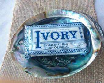 Seashell Soap Dish, Shell Soap Display, Beach Decor - 2PC Soap Included!