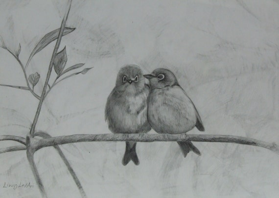 Love Birds Pencil Drawing