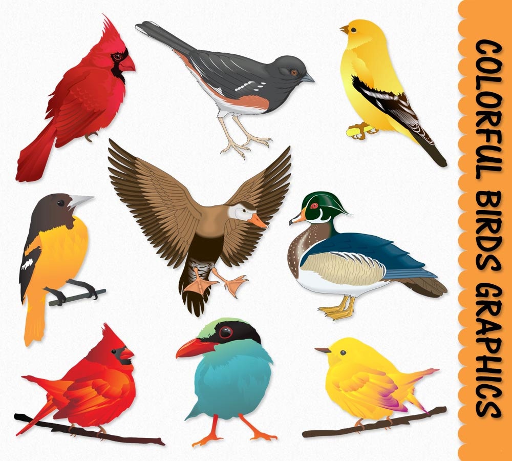 Bird Clipart