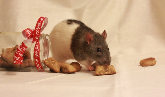 Peanutbutter banana rat treats by TheNorthernRat on Etsy