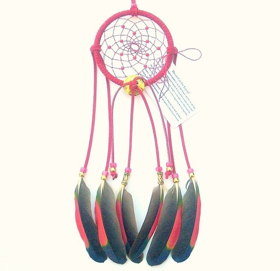 Red Dream Catcher Amazon Parrot Feathers by ArizonaDreams on Etsy