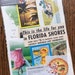 Lets Travel to Florida Vintage Collage and Scrapbook Kit Number 1208c