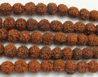 SALE - 10 Beads Natural Rudraksha seed beads from Nepal 6 mm spacer mala beads - NB127- CBA