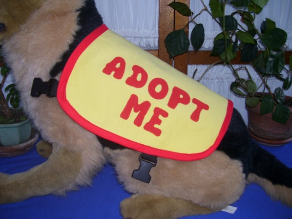 Dog Adopt Me Vest MEDIUM