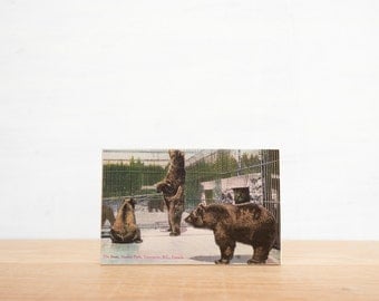Vintage Postcard Art Block 'Stanley Park Bears' - Canadiana, British Columbia, image transfer