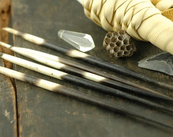 African Porcupine Quills, Banded 6-7" / Brown, Black and White Natural Color, Authentic / Perfect for Jewelry Making, Crafts // 6 Quills