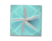 Popular items for starfish decor on Etsy