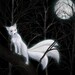 FoxDemonTrickster