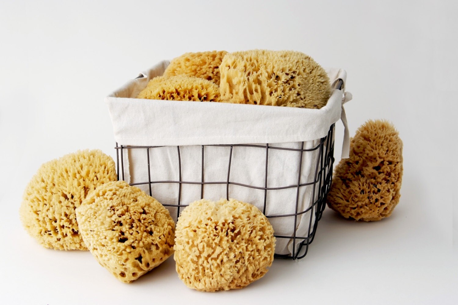 Large All NaturaL Sea Sponge
