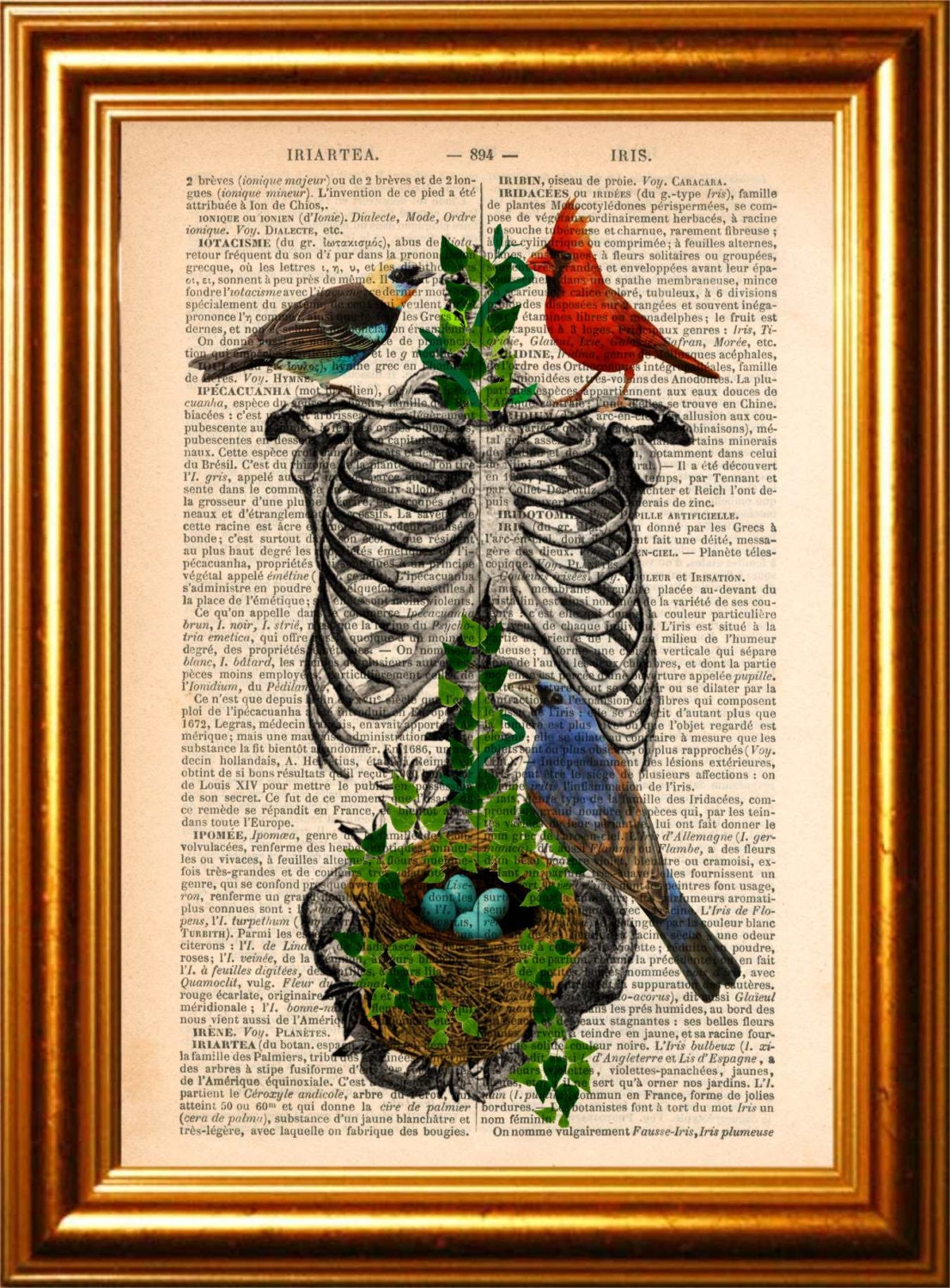 Anatomical print Rib Cage with Birds Nesting with Eggs Print