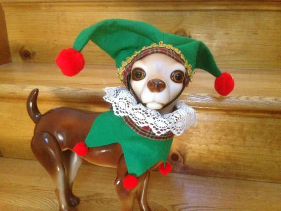 elf on a shelf dog costume