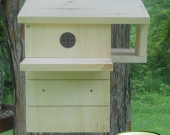 popular items for squirrel house on etsy popular items for squirrel house on etsy