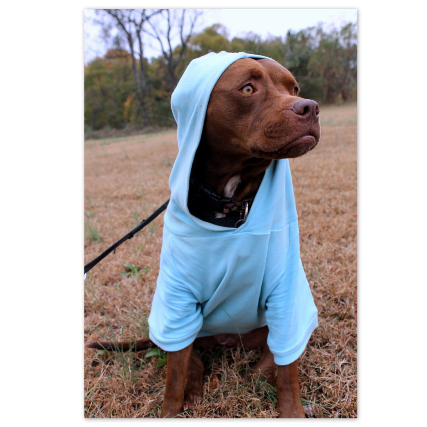 Big Dog Hoodies Custom Made to Order BCD20000 Fleece or