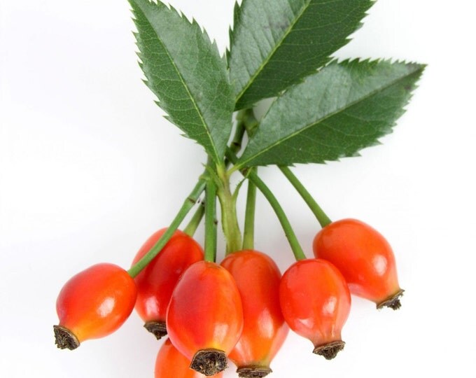 Organic Rosehip Seed Oil. Rosa Canina. Premium quality. CO2 extracted food grade.