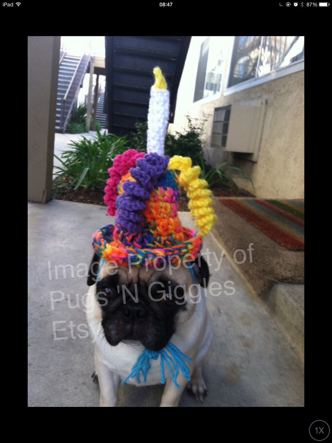 Birthday Top Hatfunny dog hatspugspugs in by PugsNGiggles