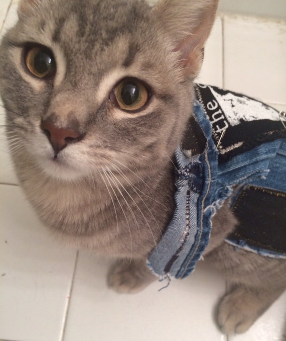 The Cure and Morrissey cat vest with spikes studs by NewYorKitty