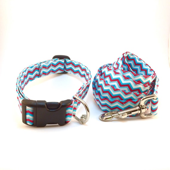 Items similar to Fall Dog Collar Dog Collar And Leash Set Boy Dog
